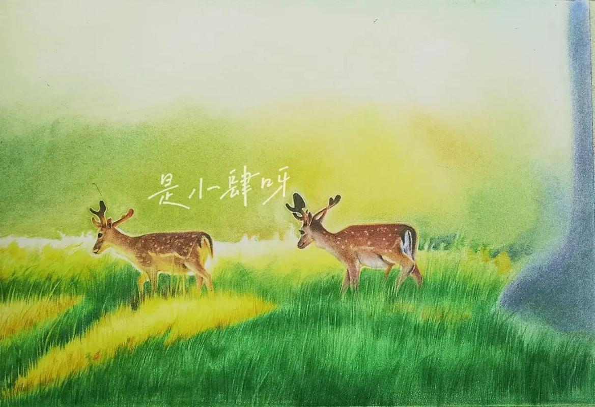 呦呦林間鹿 從筆尖到畫布的創作之旅