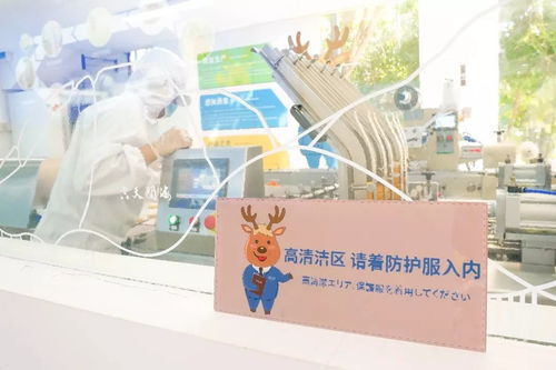 鹿先生的巧克力工廠 三亞必帶的城市禮物，呦呦鹿科技的心意之選